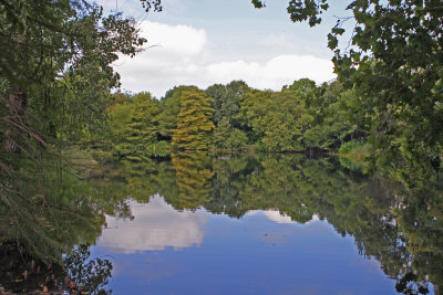 East Texas Lake