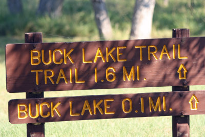 Buck Lake Trail
