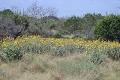 South Llano River State Park