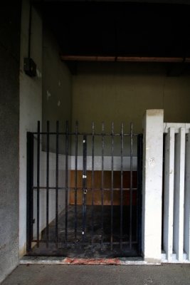 erDSCF6343.jpg
