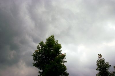 eDSCF0034.jpg