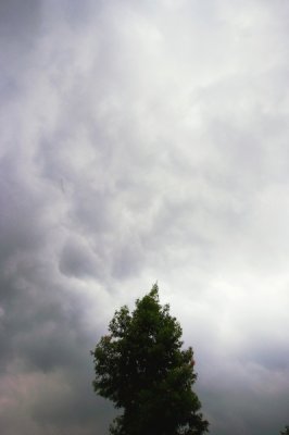eDSCF0035.jpg