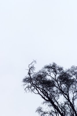eDSCF0090.jpg