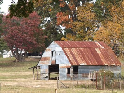 Fall Color in Texas