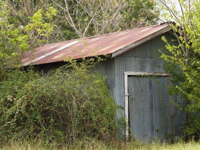 Another Shed