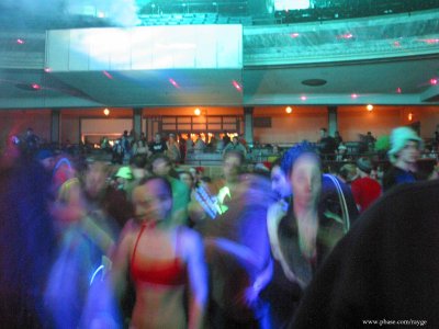 IMG_0260.jpg