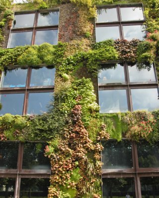 MUSEE DU QUAI BRANLY