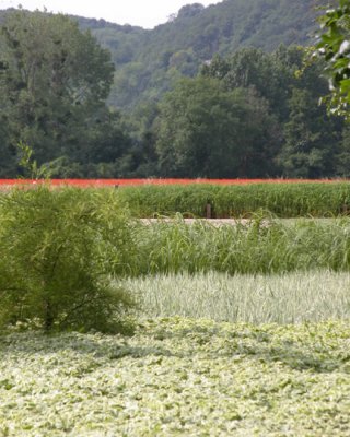 GIVERNY
