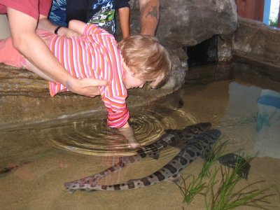 IMG_6836.JPG