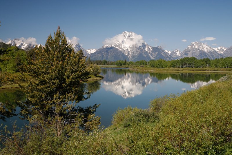 Oxbow Bend II