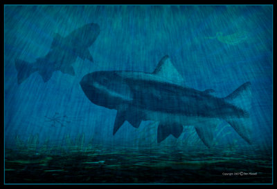 virtual-aquarium.jpg