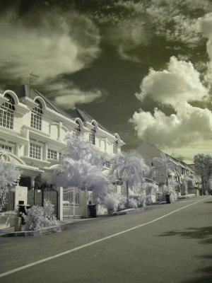 P5000_IR_Test3_Web.jpg