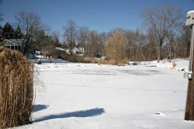 Feb32007_3268.jpg