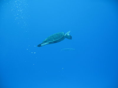 IMG_0450.jpg