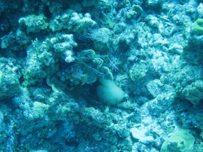 IMG_0459.jpg
