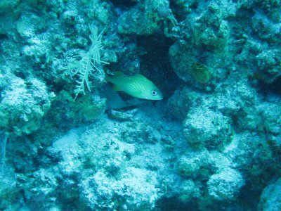 IMG_0461.jpg