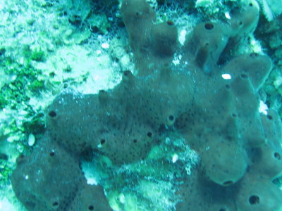 IMG_0462.jpg