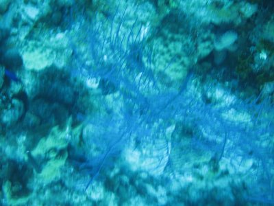 IMG_0470.jpg