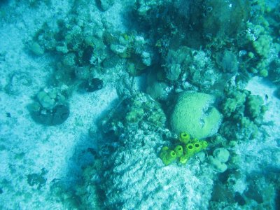 IMG_0478.jpg