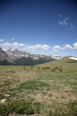 July42007_1520.JPG
