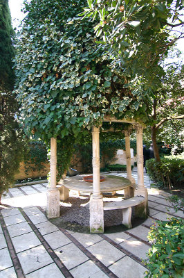 MIMG_1690.jpg