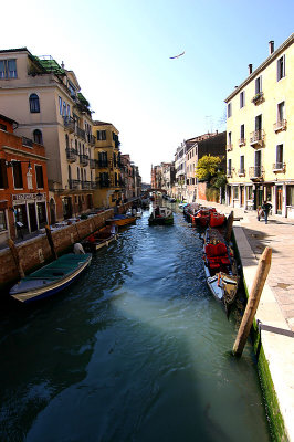 MIMG_1705.jpg