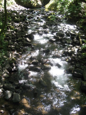 Bridal Veil Falls Creek