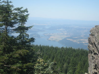 Columbia Gorge from Larch Mountain