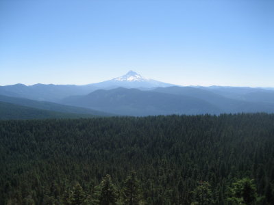 Mt. Hood