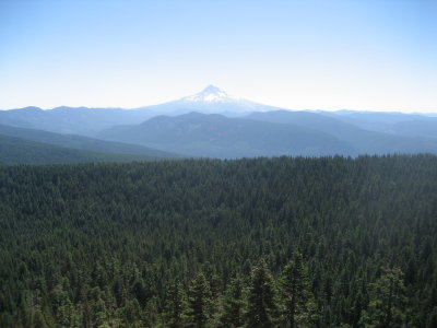 Mt. Hood