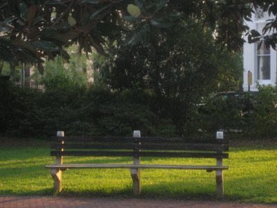 Chippawae Square Park Bench