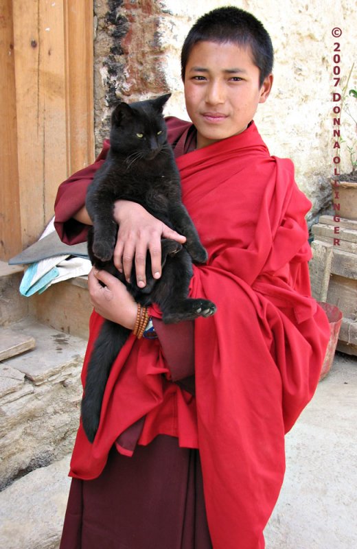 Young Monk with Kitty
