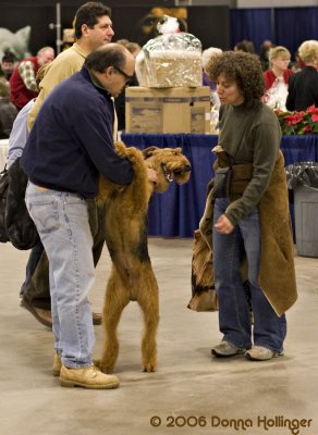 I'm an Airedale, so happy to meet you!