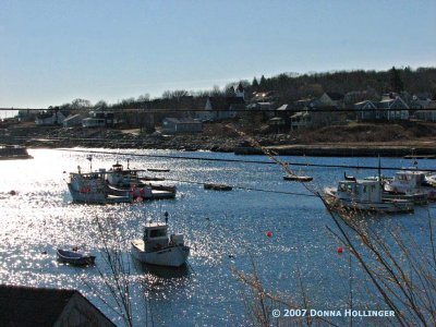 Pigeon Cove Scallopers