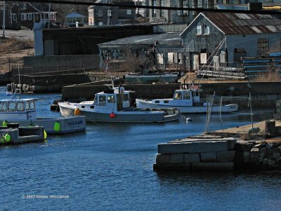 Boats in Pigeon Cove