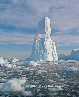 Icebergs South of Scoresby Sund