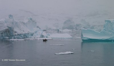 Zodiac investigating iceberg clusters near the shore