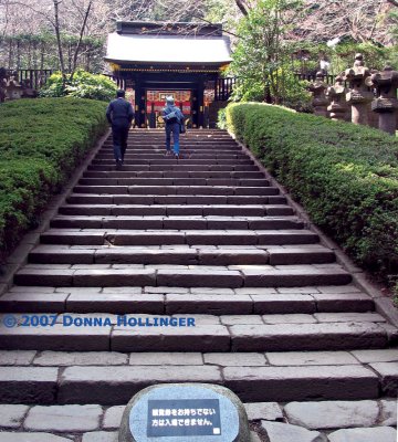 Masashi and Eiko Kosakai Climbing Mausoleum Steps