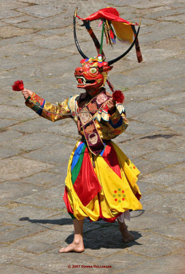 Cow Masked Dancer