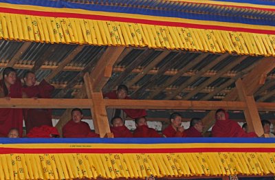 Monks in the rafters