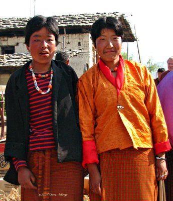 Asparagus Vendors