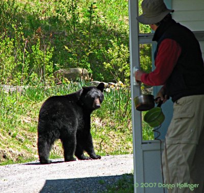 The bear and Peter