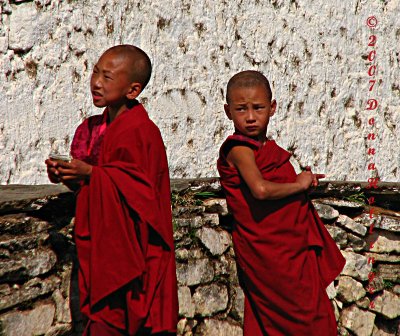 Children monks