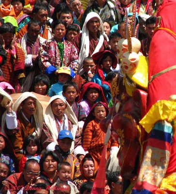 Festival crowd