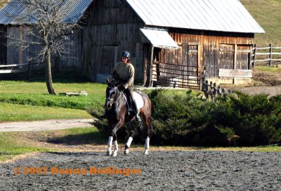 Horse and Rider