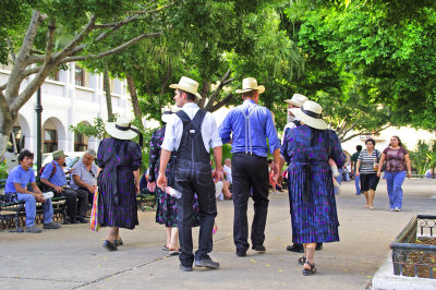 Mennonites strolling in park