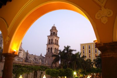 Cathedral from city hall