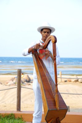 Harp player at Fiesta Americana event