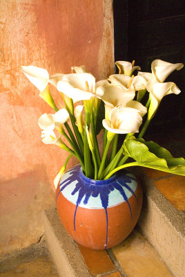 Fresh flowers at hotel room