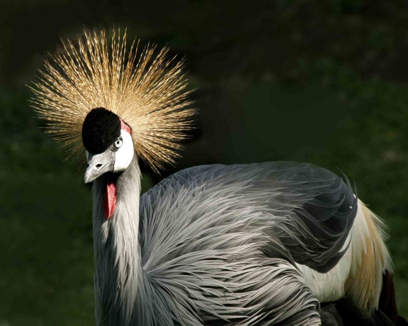 bad hair day